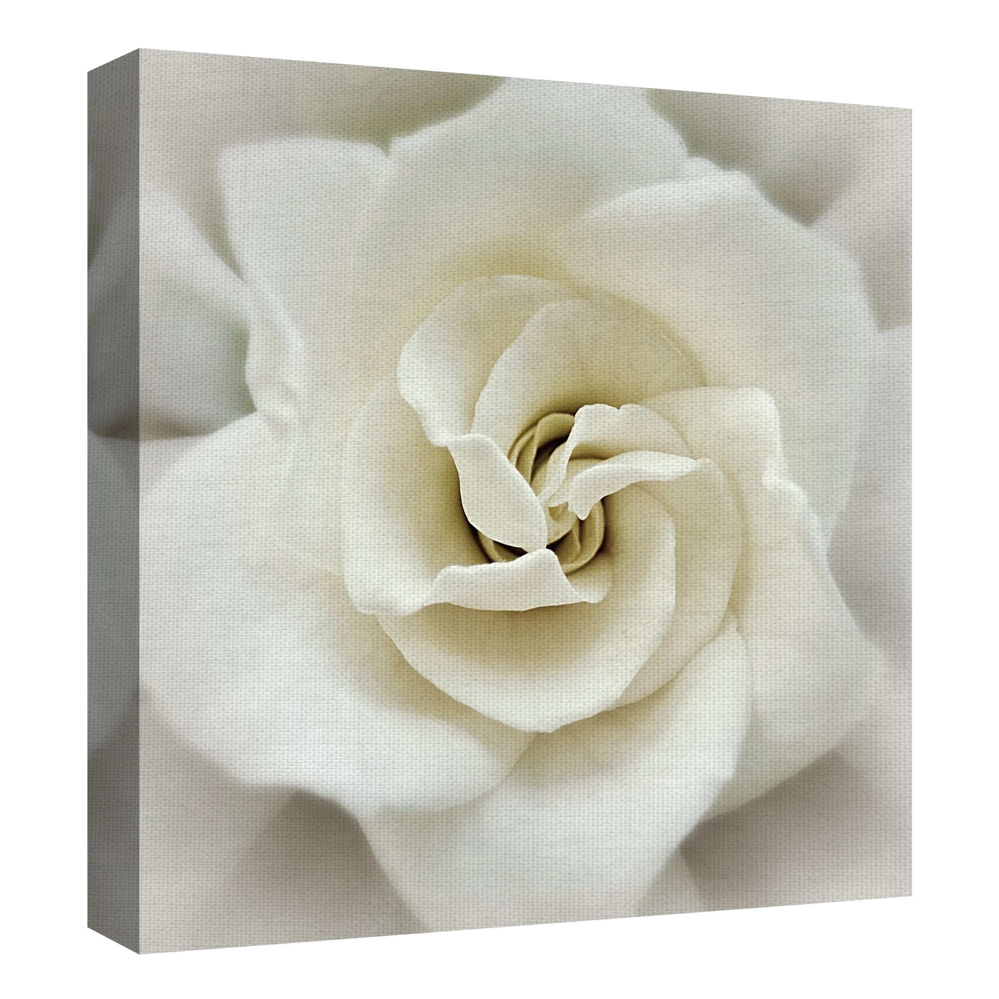 Masterpiece Art Gallery Faded Gardenia By Rebecca Swanson Canvas Art Print 24" x 24"