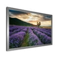 thumbnail image 2 of Designart 'Dramatic Clouds and Sunrise Over Lavender Field VII' Farmhouse Framed Art Print, 2 of 4