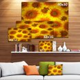 thumbnail image 3 of Sunflower Heads Decorative Background - Large Floral Canvas Art Print, 3 of 4