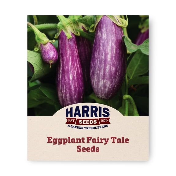 Harris Seeds - Eggplant Fairy Tale F1 Seeds - Semi-Spineless Plants - 500 Seeds