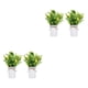 thumbnail image 2 of Advancent Centros de de limón falsos elegantes, 2 piezas, fácil de limpiar, amplia aplicación, limón de plástico para interiores o Limón 2Conjunto, 2 of 6