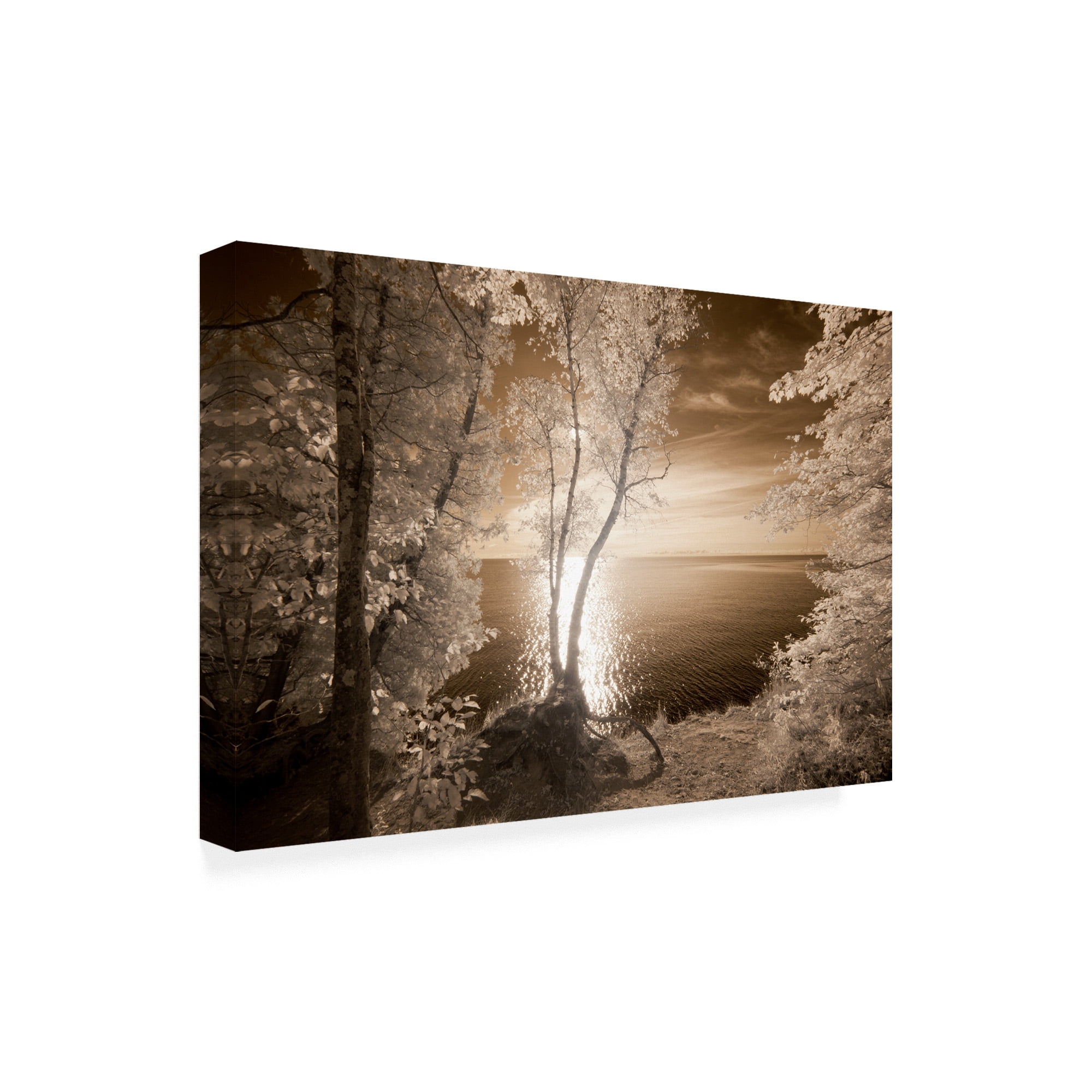 Trademark Fine Art 'Trees Framing Lake' Canvas Art by Monte Nagler