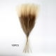 thumbnail image 2 of Herunwer Faux Pampas Grass, Fluffy Artificial Colored Pompas Grass Short Blush Fake Pampas Stems Vase Filler Flower Arrangement for Home Wedding Centerpieces, 2 of 7