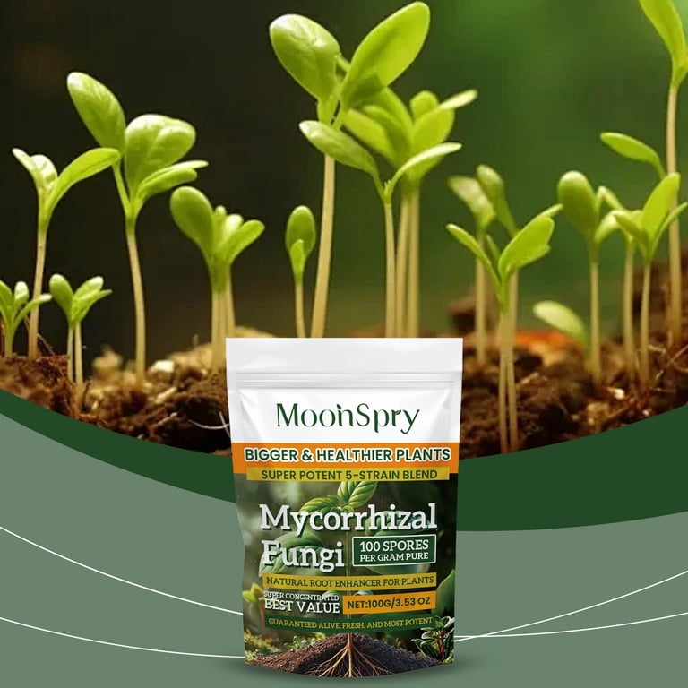 Rooting Powder, Transplants Speeds Root Development, Organic Plant Root  Enhancer Powder - Walmart.com