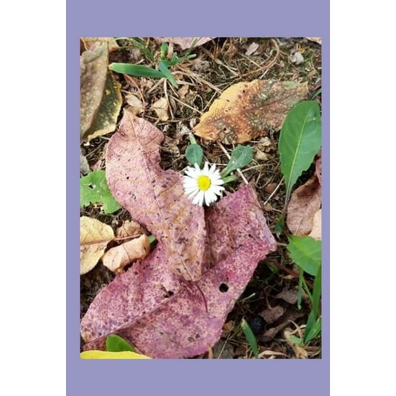 Source of Inspiration: Source of Inspiration, Vol. 12 : Inspirational Poetry (Series #12) (Paperback)