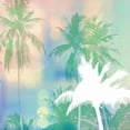 thumbnail image 2 of Taylor, Evangeline 20x20 Gold Ornate Wood Framed with Double Matting Museum Art Print Titled - Soft Palm Trees, 2 of 4