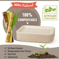 Gezond 50 Pack 14inch Disposable Food Serving Trays HeavyDuty Compostable Sugarcane Platters