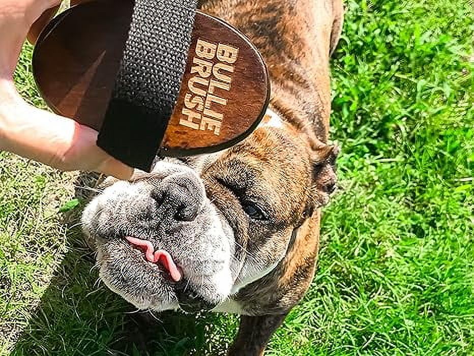 BullieBrush - The Ultimate Grooming Tool for Bulldogs and Pitbulls - Bully Brush is the Shed Brush for Dogs with Short Hair.