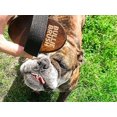 thumbnail image 2 of BullieBrush - The Ultimate Grooming Tool for Bulldogs and Pitbulls - Bully Brush is the Shed Brush for Dogs with Short Hair., 2 of 5