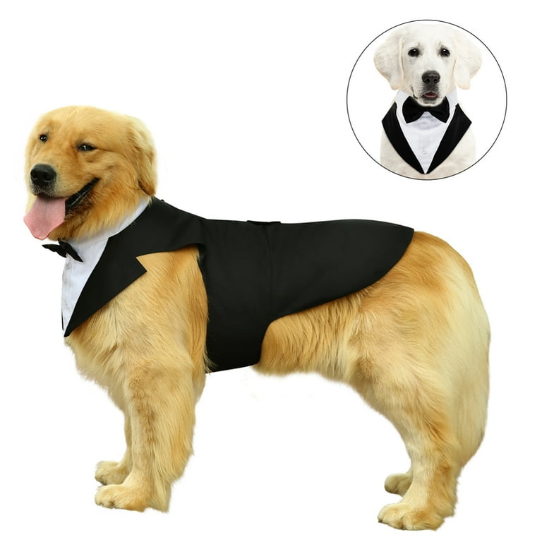 Dogs in tuxedos at cheap weddings