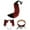 Red Black, variant on Runquan Animals Ears and Tail Cat Ears Hair Band Lolita Cosplay Bell Necklace Choker Black