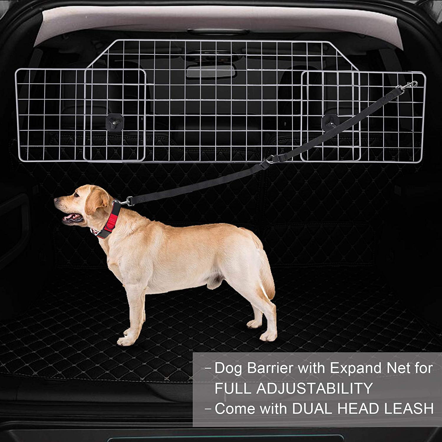 wire mesh pet barrier