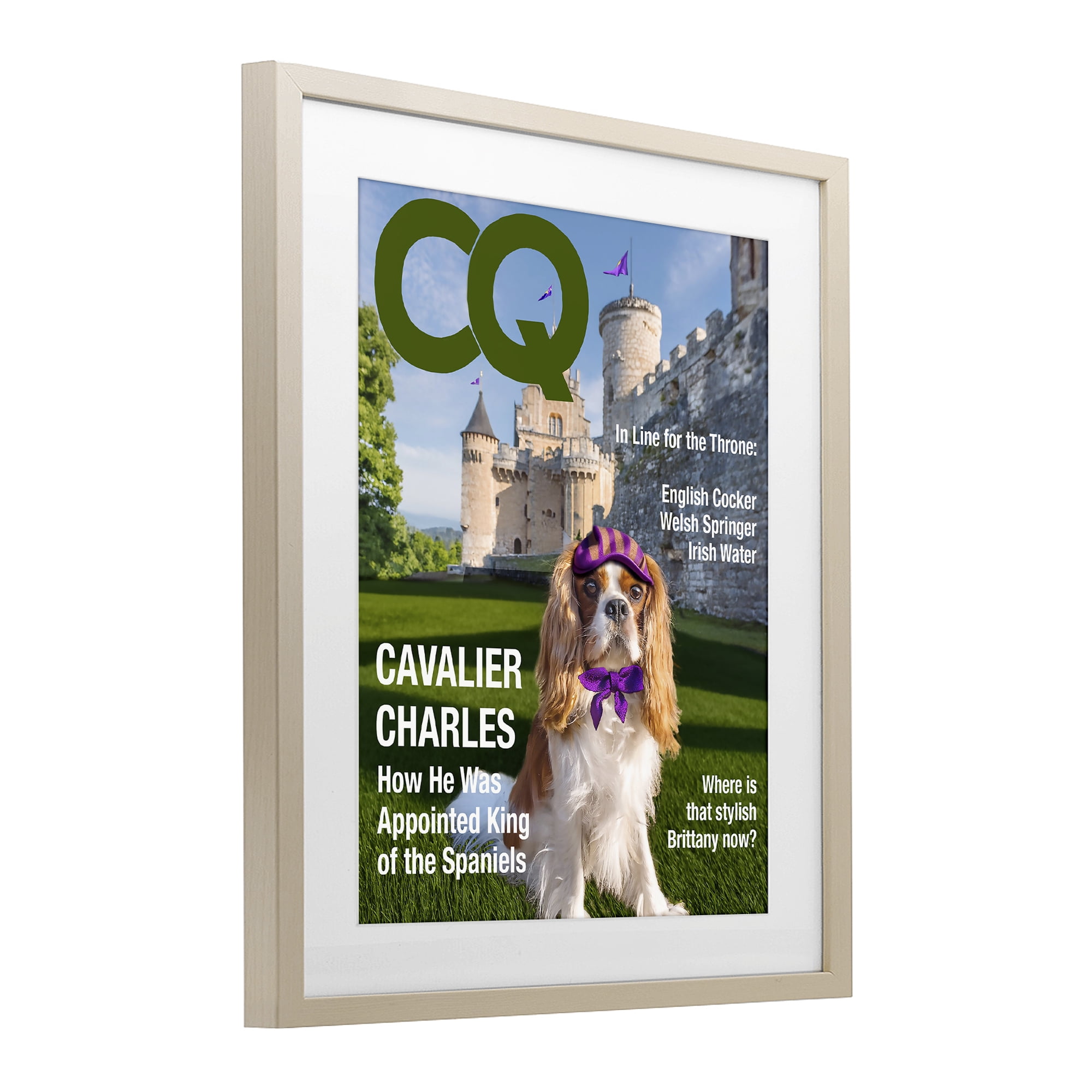 Stupell Industries Royal Cavalier Magazine Birch Framed Print Under Glass, design by Grotto Studios