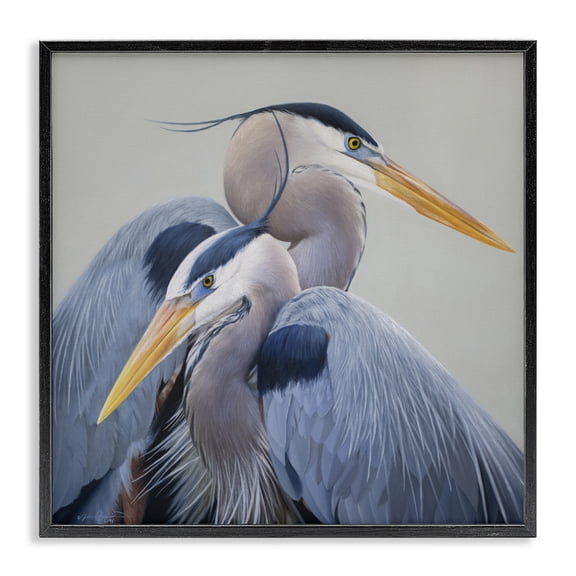 Stupell Industries Coastal Elegant Heron Twins Black Framed Giclee Art, 12 x 12, by James Corwin