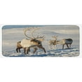 thumbnail image 1 of Winter Kitchen Mat, Reindeers Natural Environment Tromso Northern Norway Caribou Antler Wildlife, Plush Decorative Kitchen Mat with Non Slip Backing, 47" X 19", Brown Ivory Blue, by Ambesonne, 1 of 1