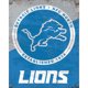 thumbnail image 1 of 5D DIY Diamante Pintura Diamantes Detroit Lions Del 40x50cm, 1 of 9