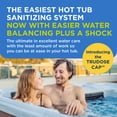thumbnail image 2 of FROG @ease Replacement SmartChlor Cartridge 3 Pack with Total Alkalinity Increaser & 1 Pack of Maintain for use with Hot Tub FROG @ease Floating System, 2 of 8