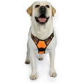 thumbnail image 1 of rabbitgoo Dog Harness  No-Pull Pet Harness with 2 Leash Clips  Adjustable Soft Padded Dog Vest  Reflective No-Choke Pet Oxford Vest with Easy Control Handle for Large Dogs Orange L, 1 of 9