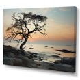 thumbnail image 2 of Designart "Beach Photo Sandy Charm III" Coastal Beach Canvas Art Print, 2 of 5