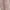 Khaki, variant on Sparkly Skirts for Women Long Length Glitter Elastic High Waisted Mesh 2 Layered Pleated A Line Maxi Skirt Prom