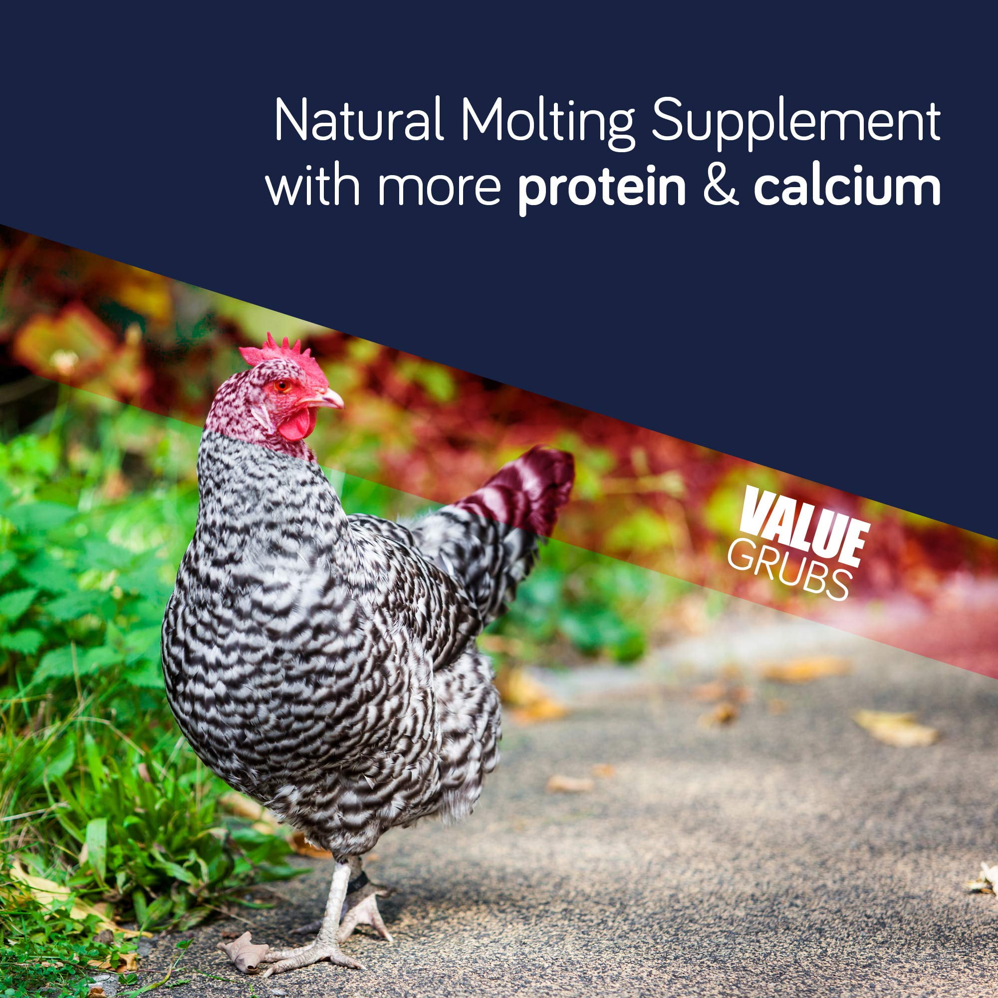 Value Grubs 4 lbs - 75x More Calcium Than Meal Worms - Poultry Feed Supplement