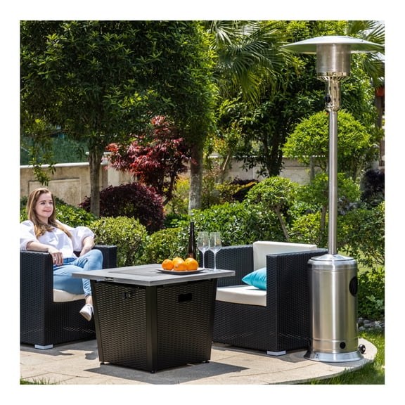Propane Patio Heater w/Wheel Outdoor Heater ,000BTU Stainless Steel