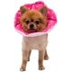 thumbnail image 1 of Cono ajustable para perros y gatos, collar de cono de gato de recuperación suave, collar protector para perros para cirugía de gatos, rosa, pequeño Rojo Verde, 1 of 5