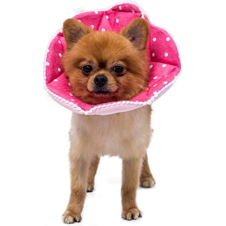 PHCOZY 1 Cône Collerette En Plastique Protecteur De Cou Réglable Pour Chat Collier Chien Cône Convient Aux Petits Chats Chiots XXS Blanc(Convient Aux Chatons Et Aux Chiots