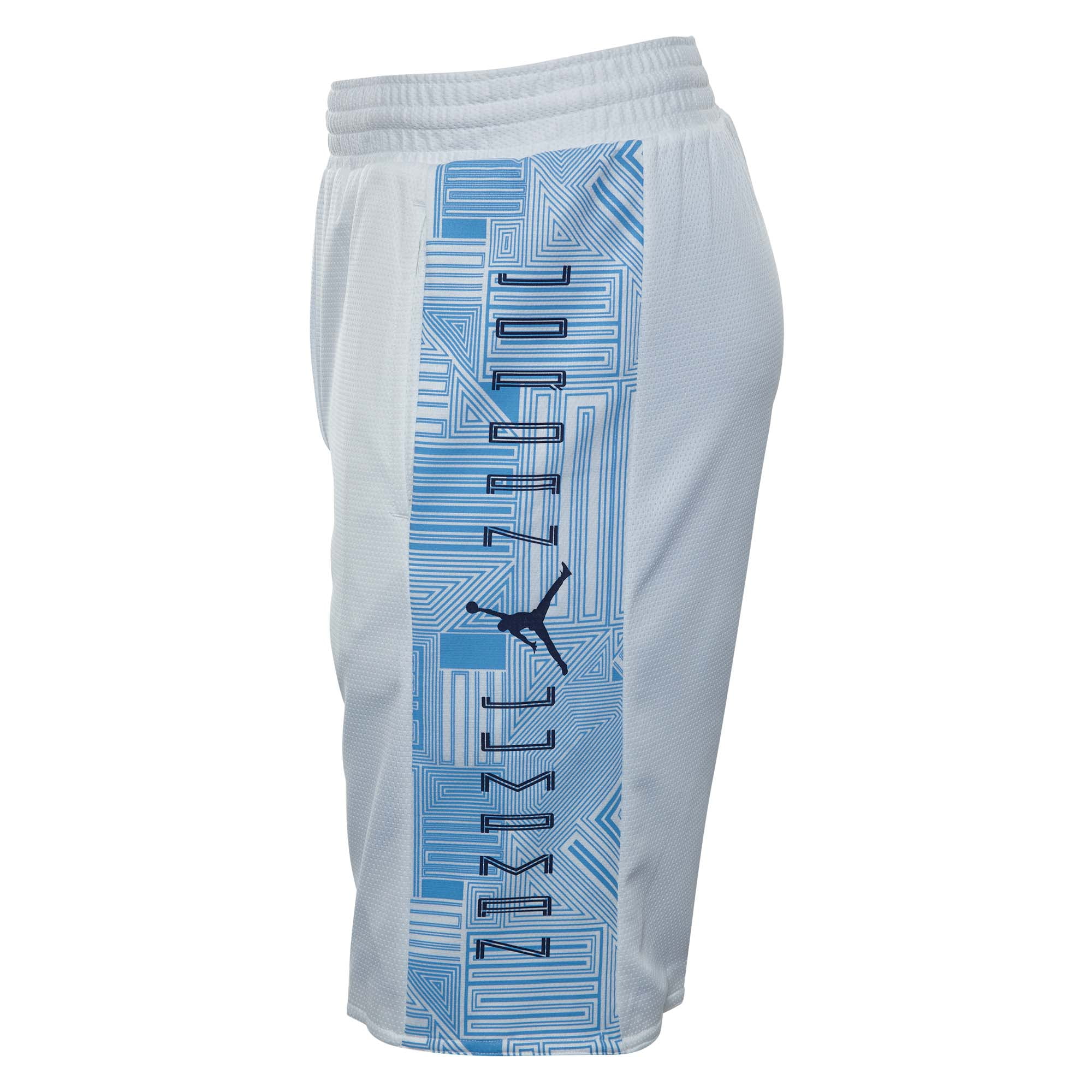jordan 11 reversible shorts