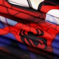 thumbnail image 2 of Marvel Spidey & Friends 2-Pack Kids Pillowcases, 2 of 7