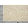 thumbnail image 4 of Nourison Silk Elements Natural Area Rug Natural 2'3" x 3', 4 of 5