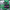 Multi-Color, variant on Minecraft Unisex Printed Backpack Green Multi-Color