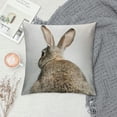 thumbnail image 2 of Nawypu Grey Rabbit Bunny Tail Easter Bunny Feed Pattern Throw Pillow Cover Decorative Pillowcase Cushion Cover for Sofa Couch Bed,Farmhouse Kids Room Decor,Gift for Rabbit Lovers Kids, 2 of 5