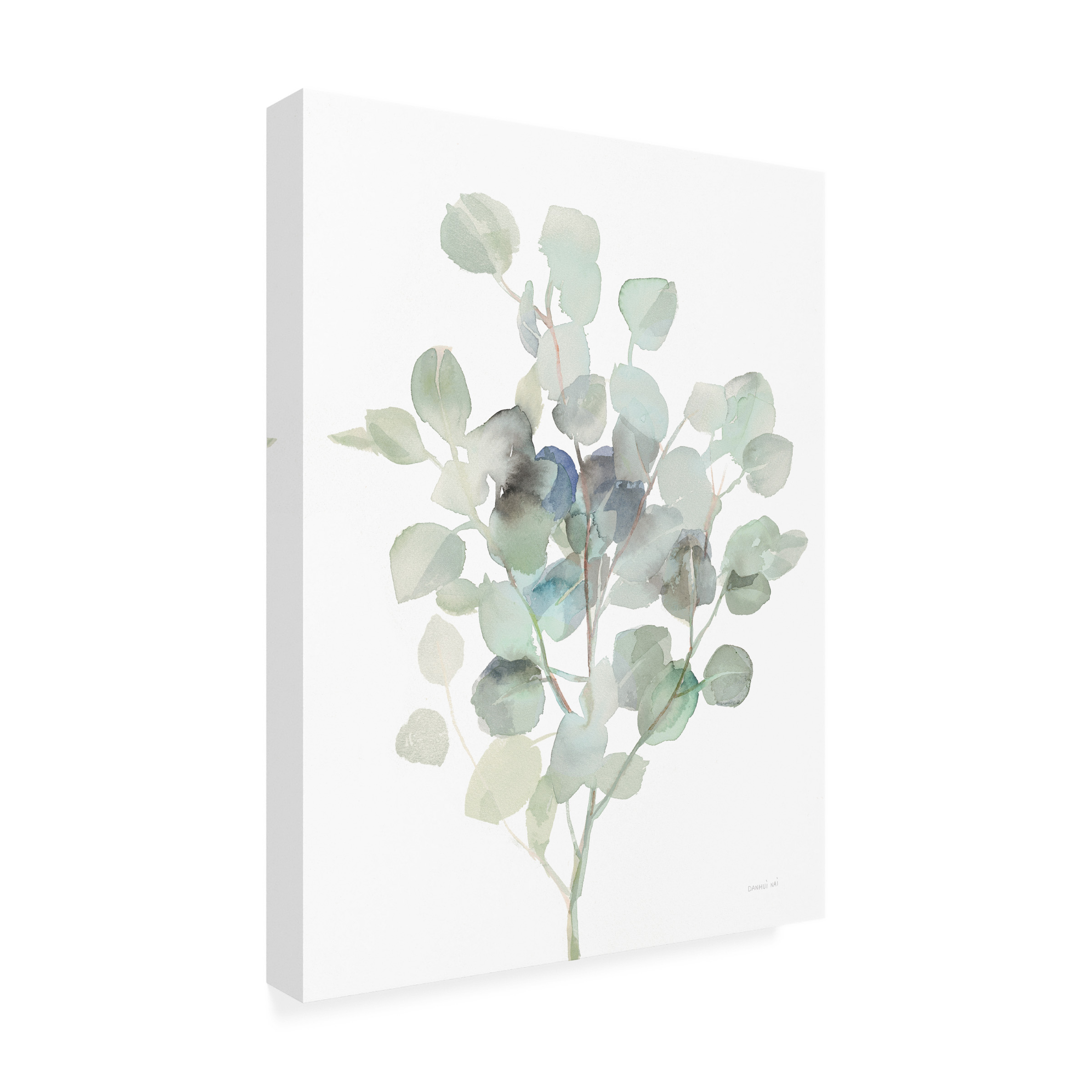 Trademark Fine Art 'Eucalyptus III Cool' Canvas Art by Danhui Nai