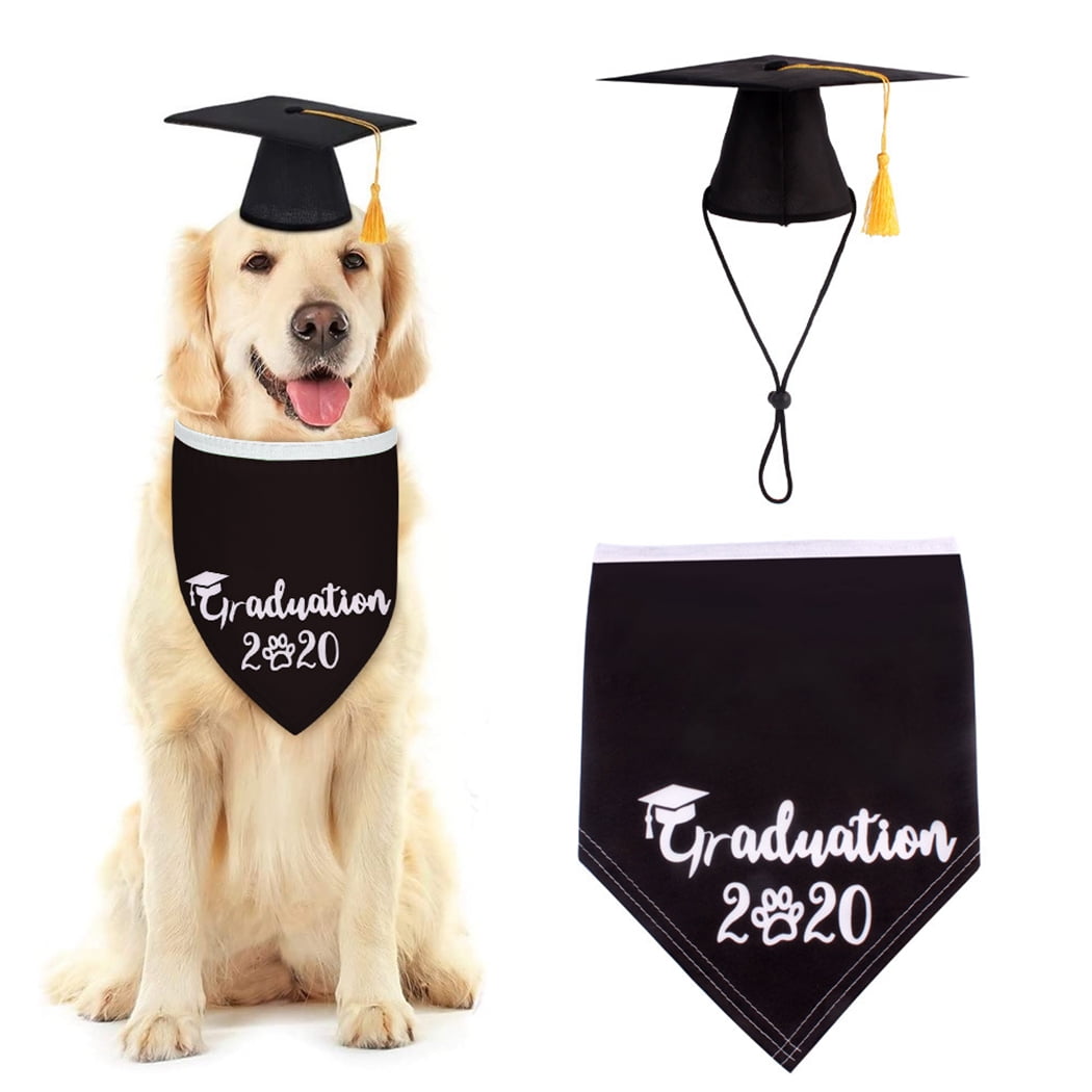 2PCS Pet Costume Accessories Graduation Theme Lovely Dog Bandana