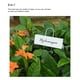 thumbnail image 5 of Eigraketly 8 piezas etiqueta de planta de invernadero jardín flor hierbas suculentas signo de acero inoxidable etiqueta de nombre portátil Jardín y Patio, 5 of 6