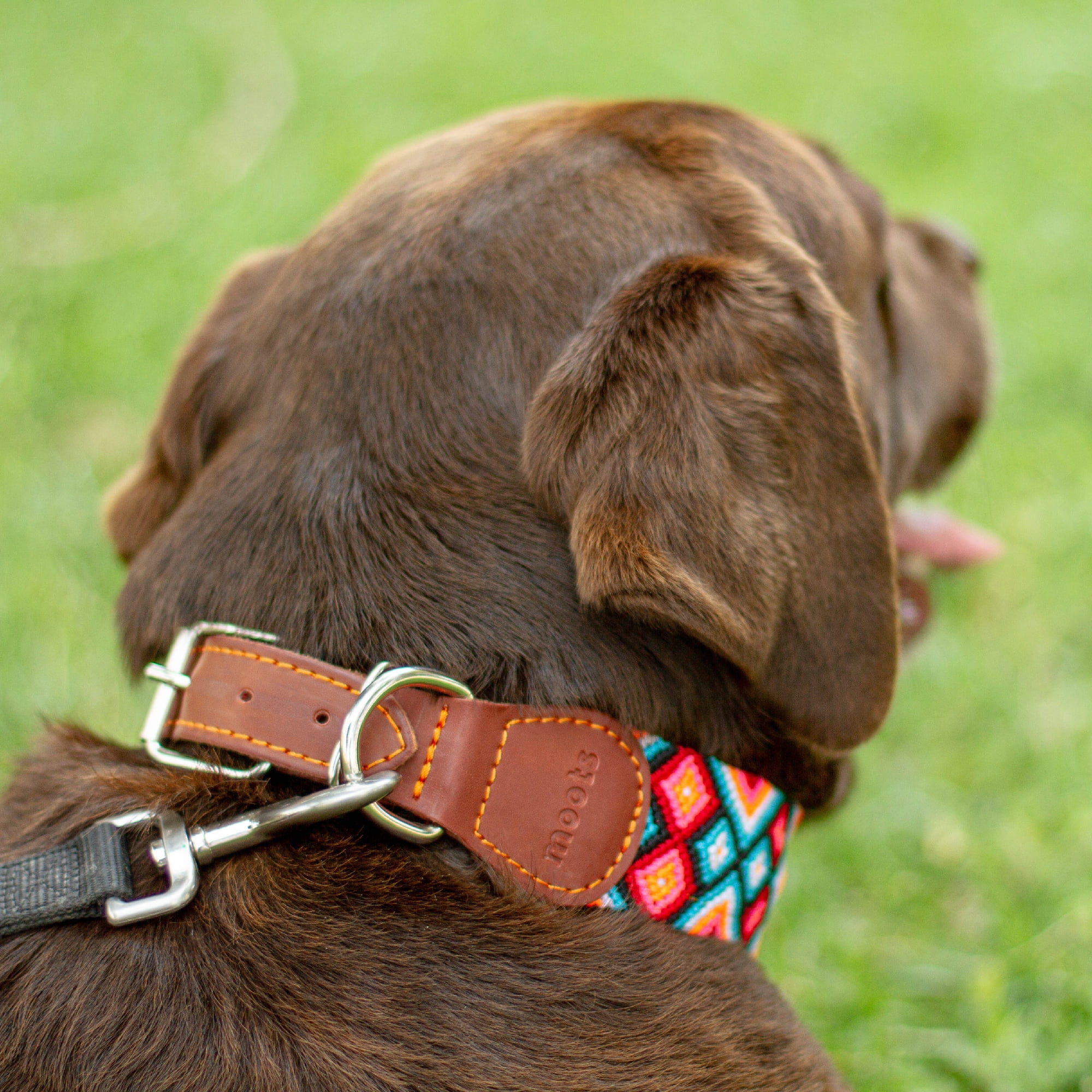 Moots Root Hand-Knitted Leather Pet Collar Pink Large