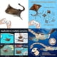thumbnail image 4 of Remote Control Boat Realistic Devil Fish High Speed Rcboat Children Funny Gift, 4 of 5