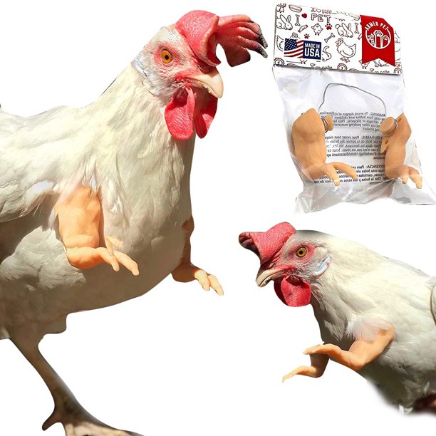 Chicken Arms Toys Doll Hands For Hens Chicken Arms Toys Prank Gift White Walmart Com Walmart Com