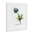 thumbnail image 3 of Stupell Industries Modern Simple Thistle Watercolor Canvas Art, 30 x 40, by Alexandria Gilbert Kincaid, 3 of 8
