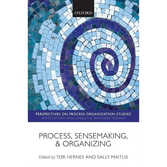 Perspectives on Process Organization Stu Process, Sensemaking, and Organizing, (Paperback)
