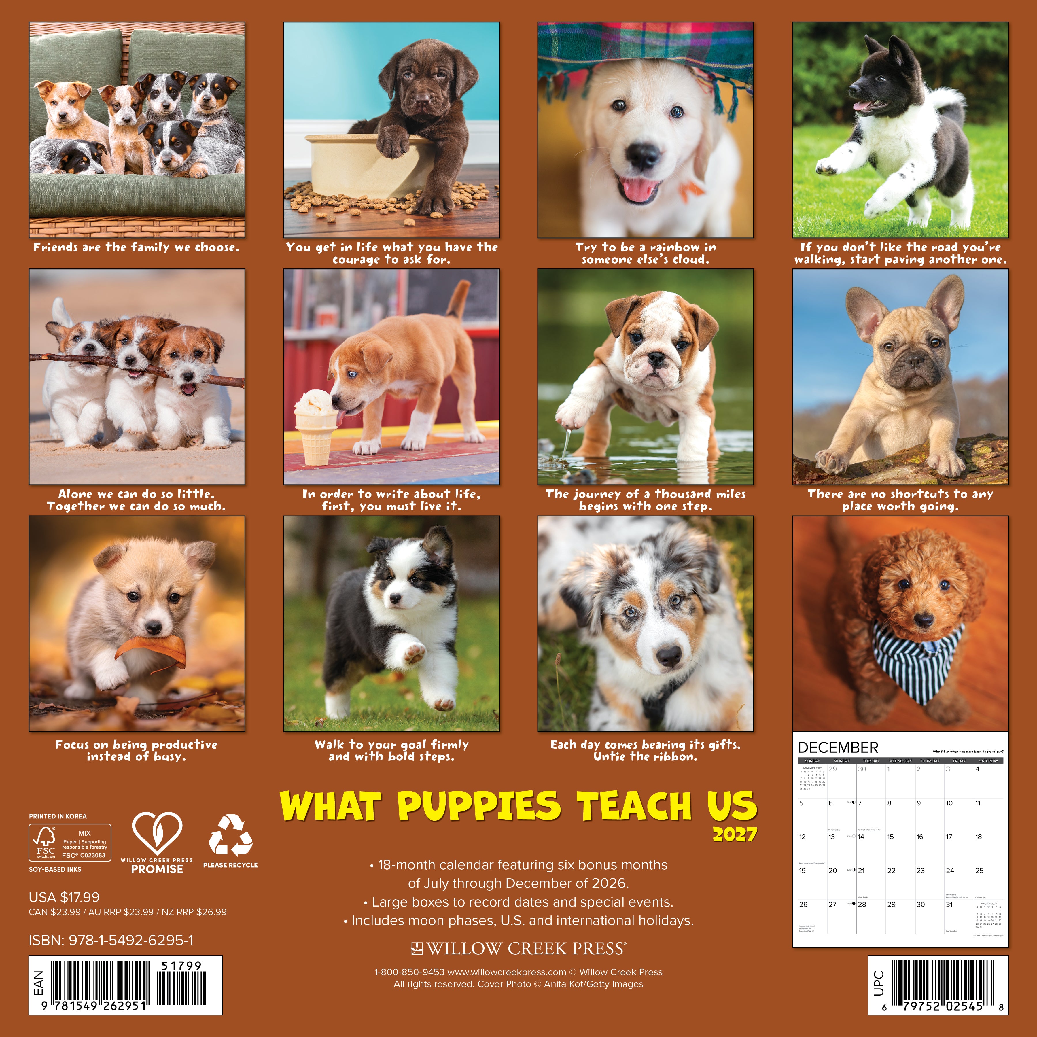 Willow Creek Press, What Puppies Teach Us 2027 Wall Calendar