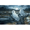 thumbnail image 2 of Tift, Jeff 24x17 White Modern Wood Framed Museum Art Print Titled - Snowy Owls, 2 of 4