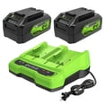 thumbnail image 1 of Greenworks 24V 4.0Ah USB (2-pack) Starter Kit with 4A Dual Port Charger, 1 of 9