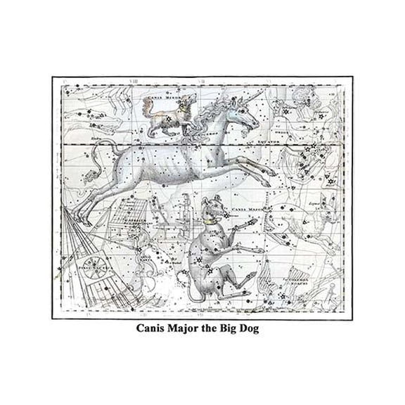 Canis Major the Big Dog-Fine Art Canvas Print (20" x 30")