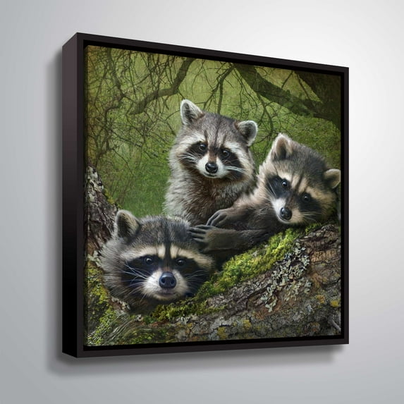 Raccoons as art