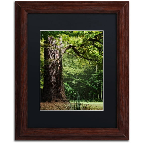 Trademark Fine Art "The old Trunk" Canvas Art by Philippe Sainte-Laudy Black Matte, Wood Frame