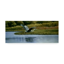 Trademark Fine Art 'Back Water Fisherman' Canvas Art by Michael Budden