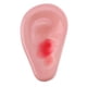 thumbnail image 5 of Divertido Y Gracioso Grandes Disfraces Vestido de Despedida de Despedida de Juguete de Broma Macarena Party Fancy Dress Prop, 5 of 8