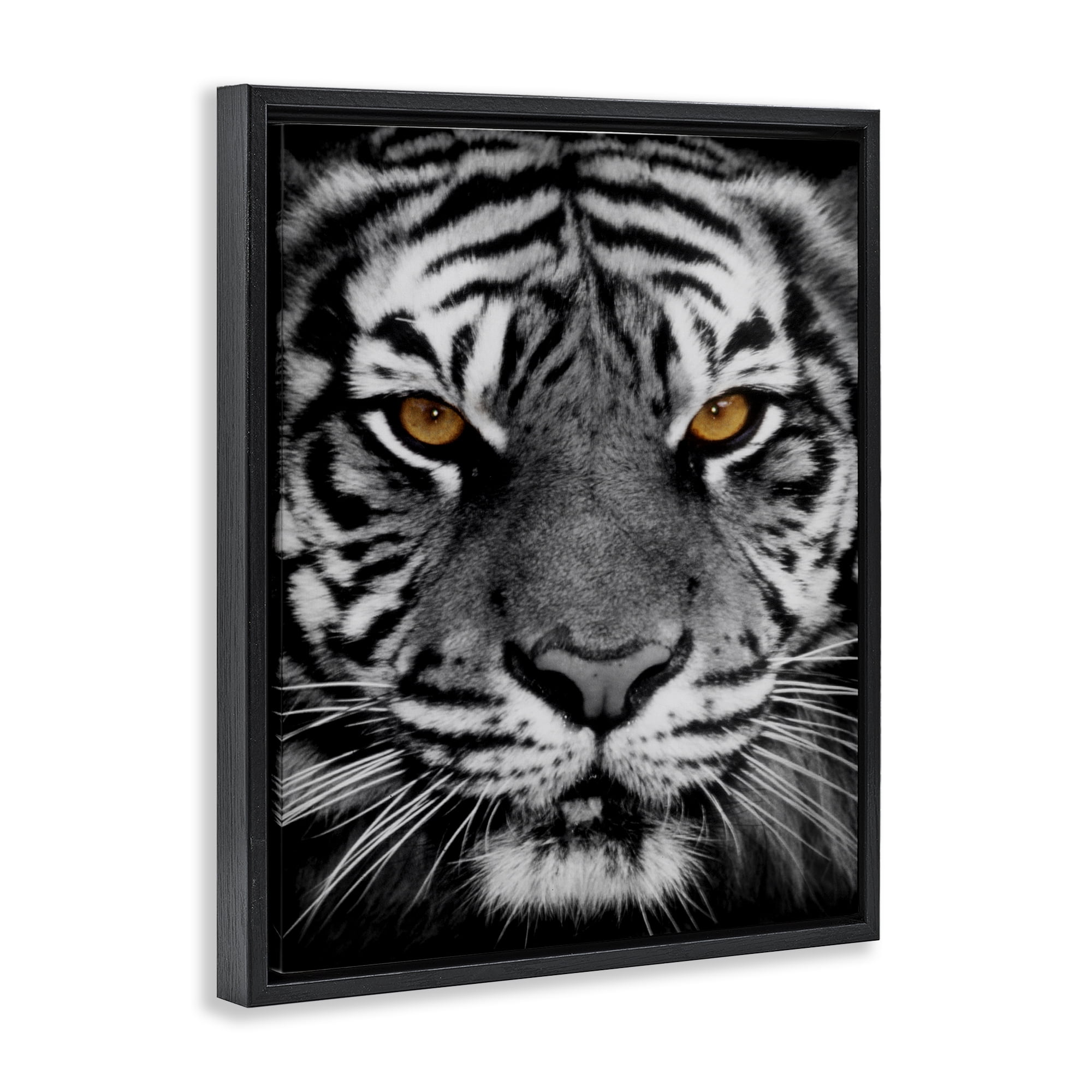 Stupell Industries Fierce Eyed Tiger Animals Painting Black Floater Framed Canvas Art Print Wall Art, 25 x 31